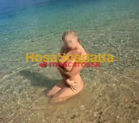 Foto 2 di New, escort a Milano