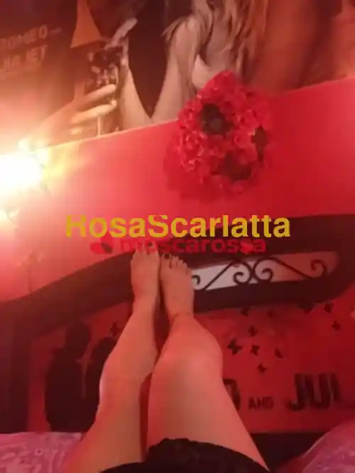 Terza immagine della gallery