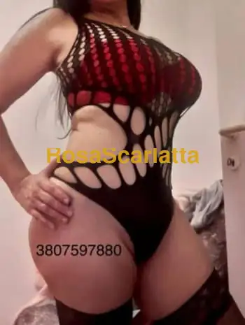 Ana maria