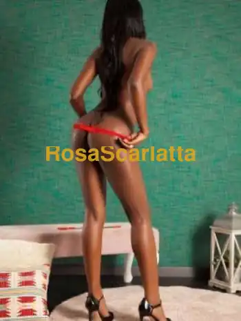 mar dolce massagiatrice
