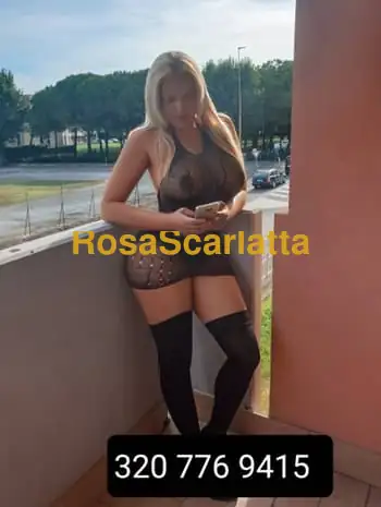 Nicol
