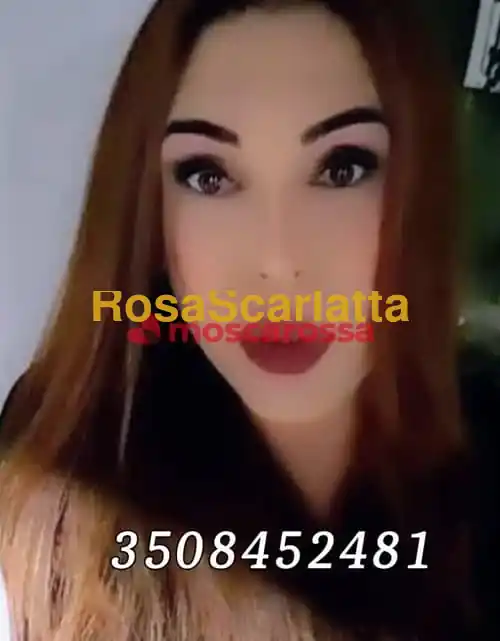 Foto 2 di New, trans a Perugia