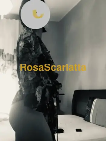 Sara