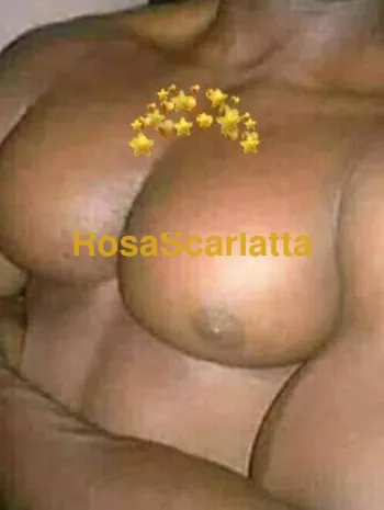 Boye - Gigolò Vigevano