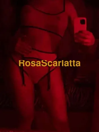 Erika faenza - Escort Faenza