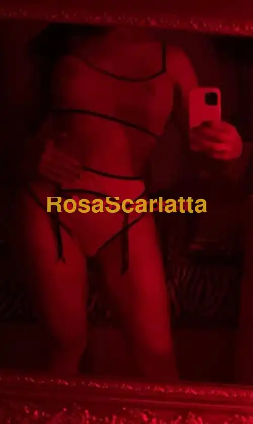 Foto 2 di Erika faenza, escort a Faenza