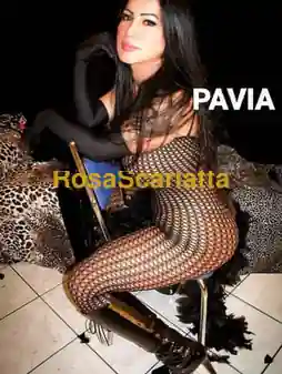 Dominante xl - Pavia