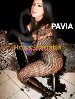 Dominante xl