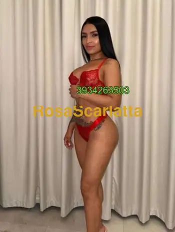 New