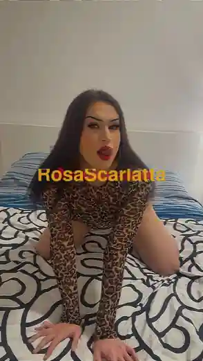 Foto 2 di Carmen, trans a Trieste