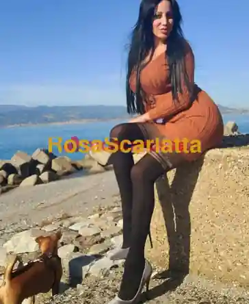 Foto 3 di Sole, escort a Bologna