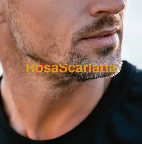 Seconda immagine della gallery