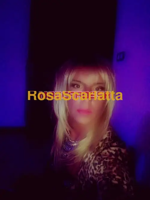 Foto 2 di Lea, trans a Palmanova