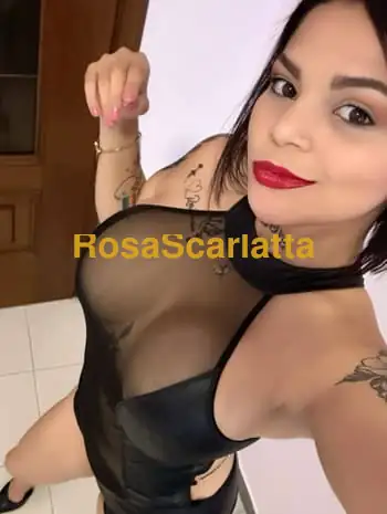 Camilla venezuelana