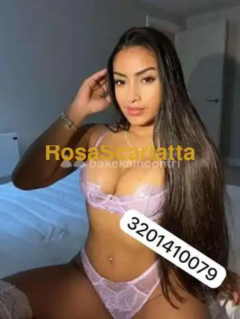 New
