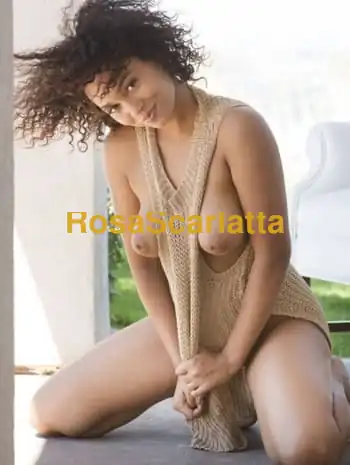 Alicia aap tornata a udine - Udine