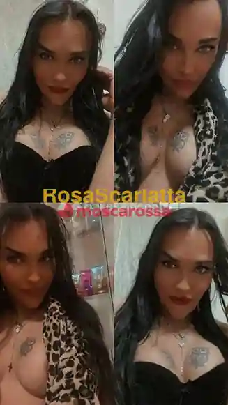 Seconda immagine della gallery