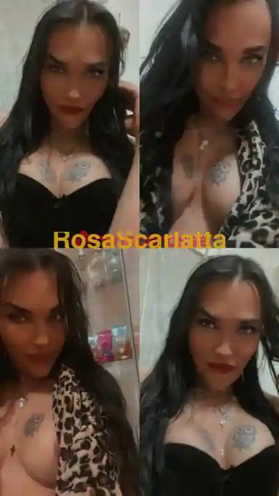 Terza immagine della gallery