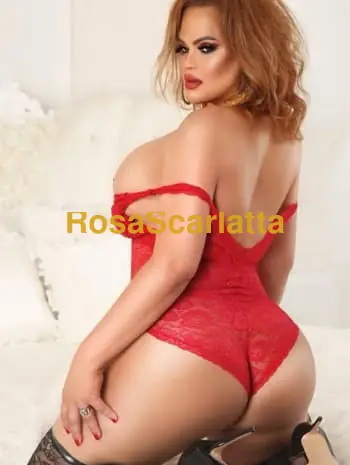 Novita milena