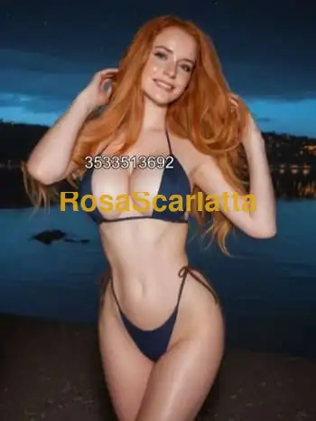 New