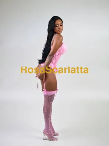 Perla brasil