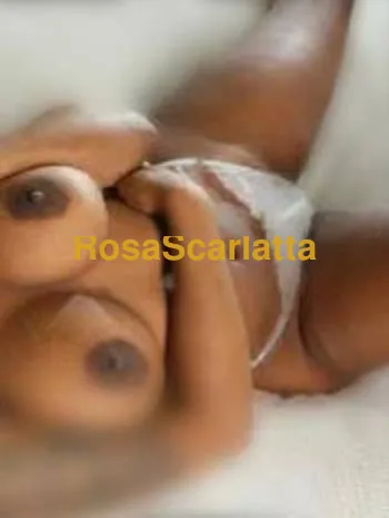 Sofia new entry