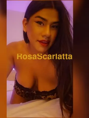 La potra