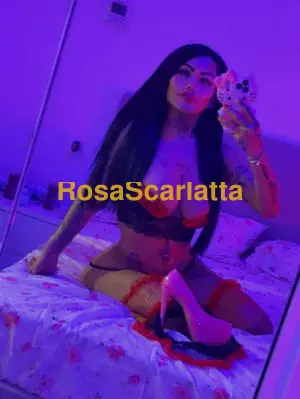 Leydi - Trans Bologna