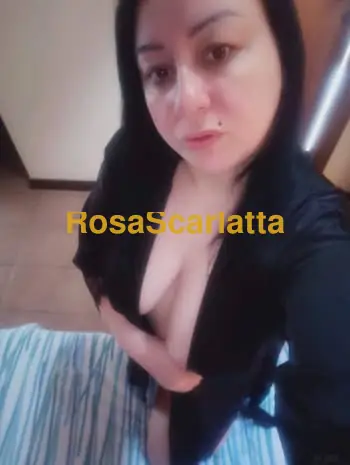 Rimini