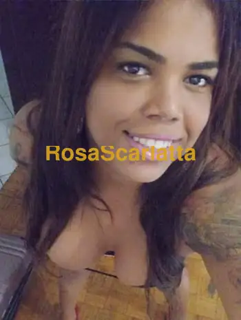 a lancusi bruna cavallona trans xxl