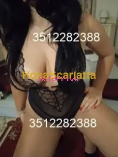 Sofia
