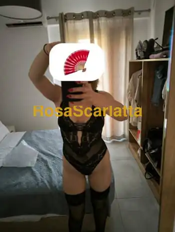 Xxxi