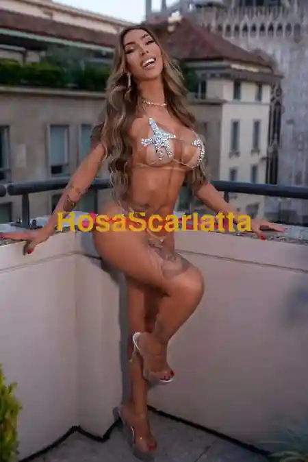Foto 2 di Mariana  ferraz, trans a Milano