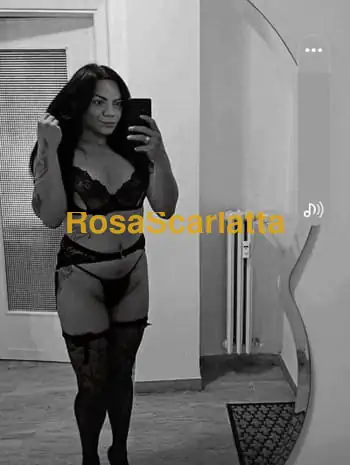 Rhayssa brasiliana - Torino