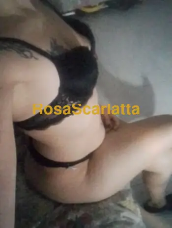 Melika - Alessandria