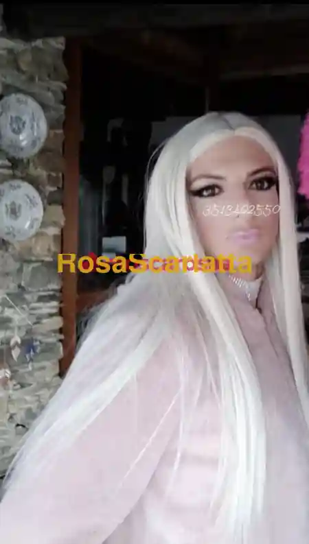 Seconda immagine della gallery