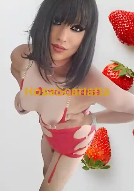 Foto 2 di Clarissa, trans a Pescara