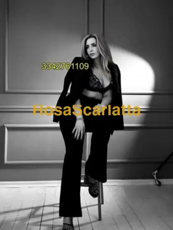 New