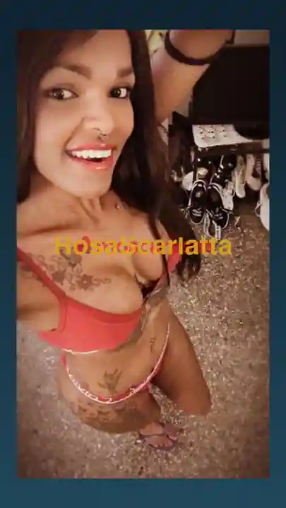 Foto 3 di Venere nera troia, trans a Aulla