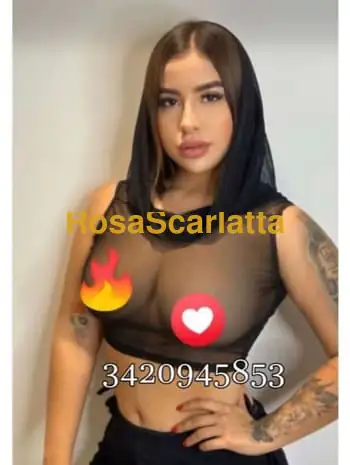 New