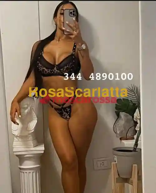 Foto 3 di Daniela, escort a Napoli