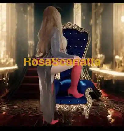 Seconda immagine della gallery