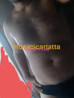 Stefano
