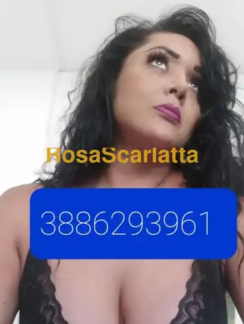 Anyelina trans latina tornata