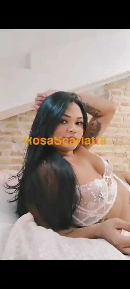 Seconda immagine della gallery