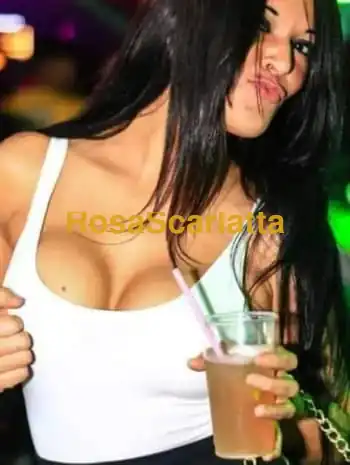 Stella brasiliana