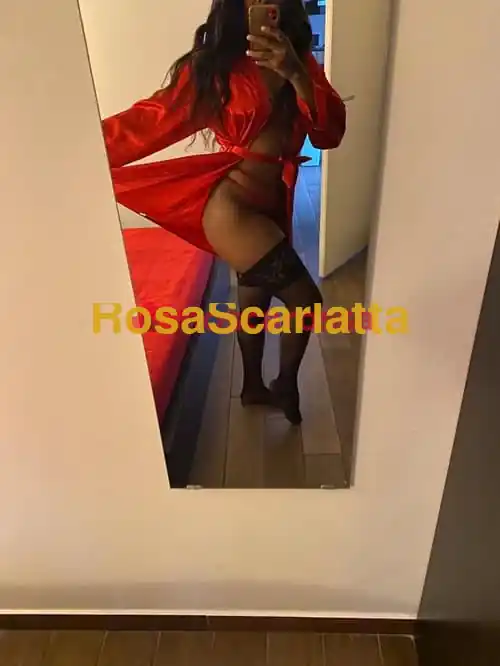 Seconda immagine della gallery