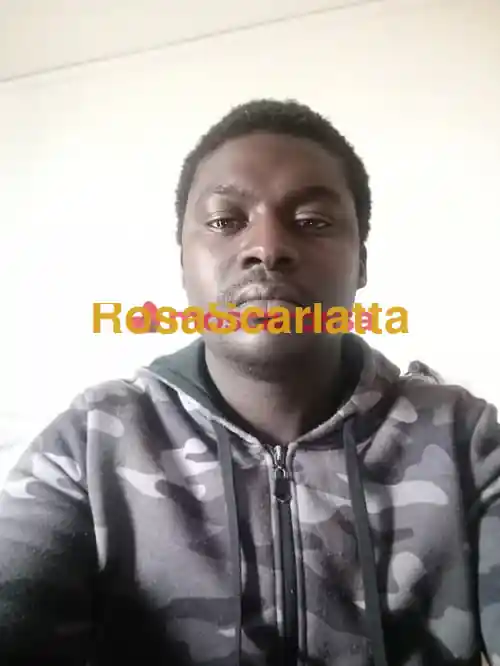 Seconda immagine della gallery