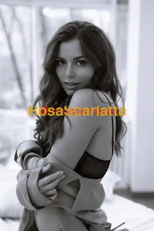 Foto 3 di Alessia, escort a Sanremo