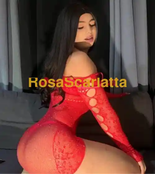 Seconda immagine della gallery